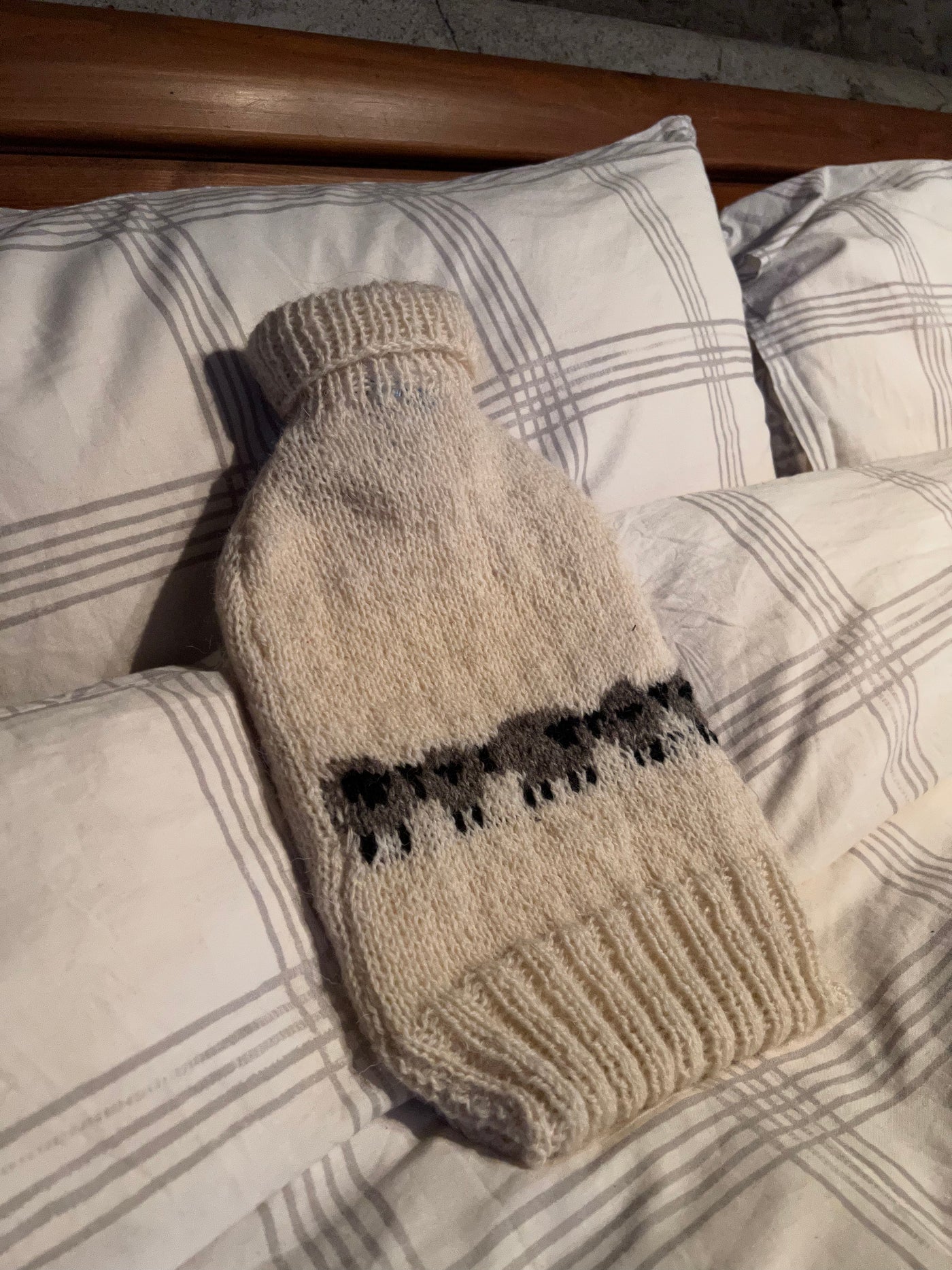 Pentwyn Farm to Yarn Hot Water Bottle Cover - Jacob & Romney Sheep Cream