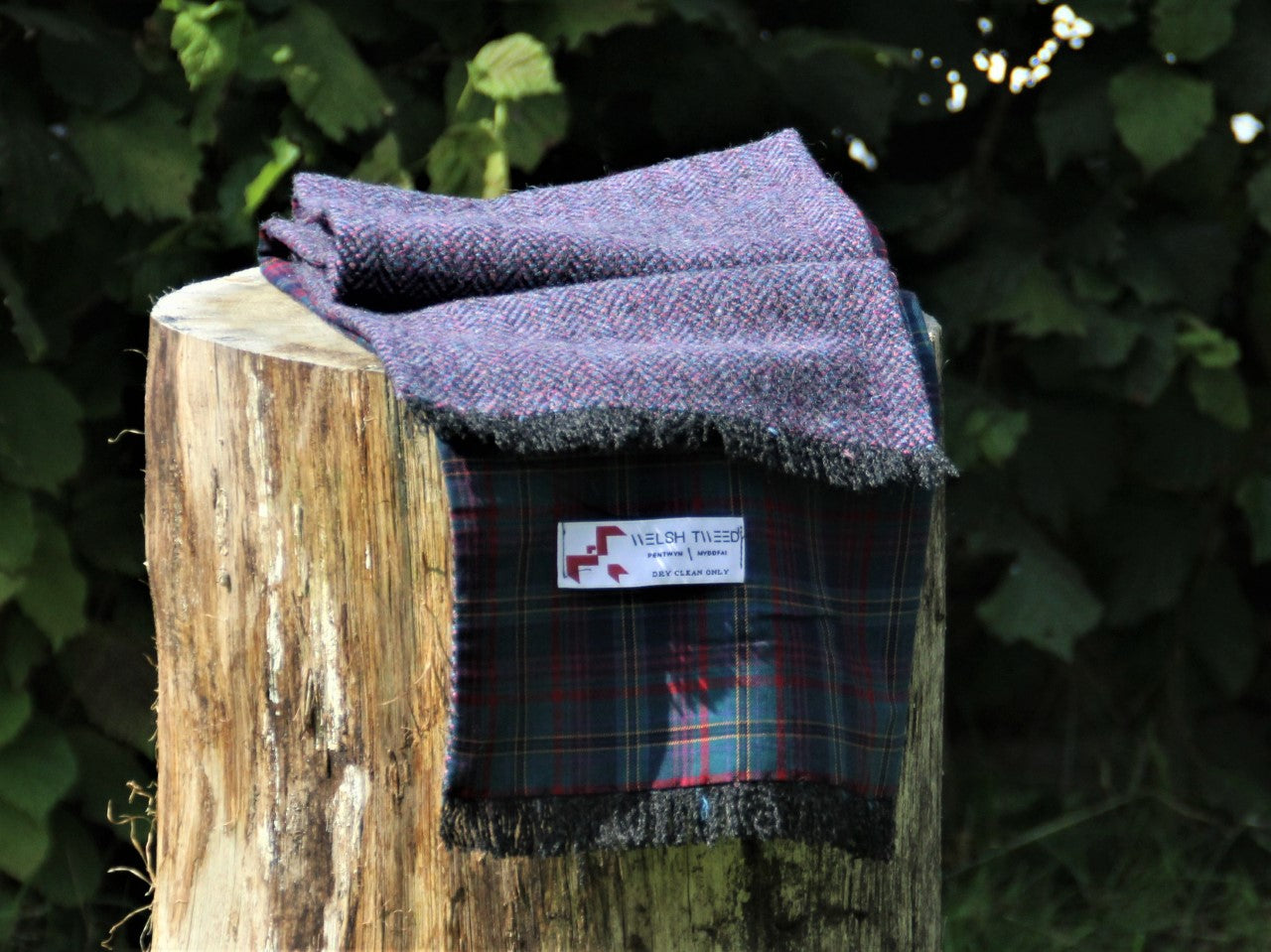 Tenby Tweed with Red and Green Check Lining